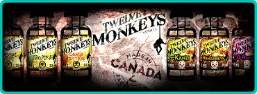 12 Monkeys